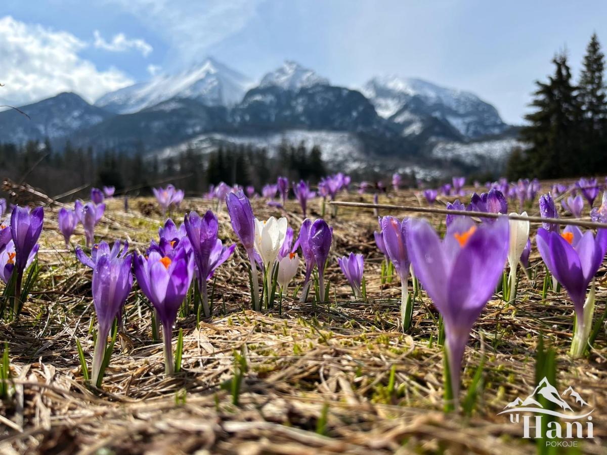 Pokoje U Hani - Sauna, Balia Z Hydromasazem Буковина-Татшаньска Экстерьер фото